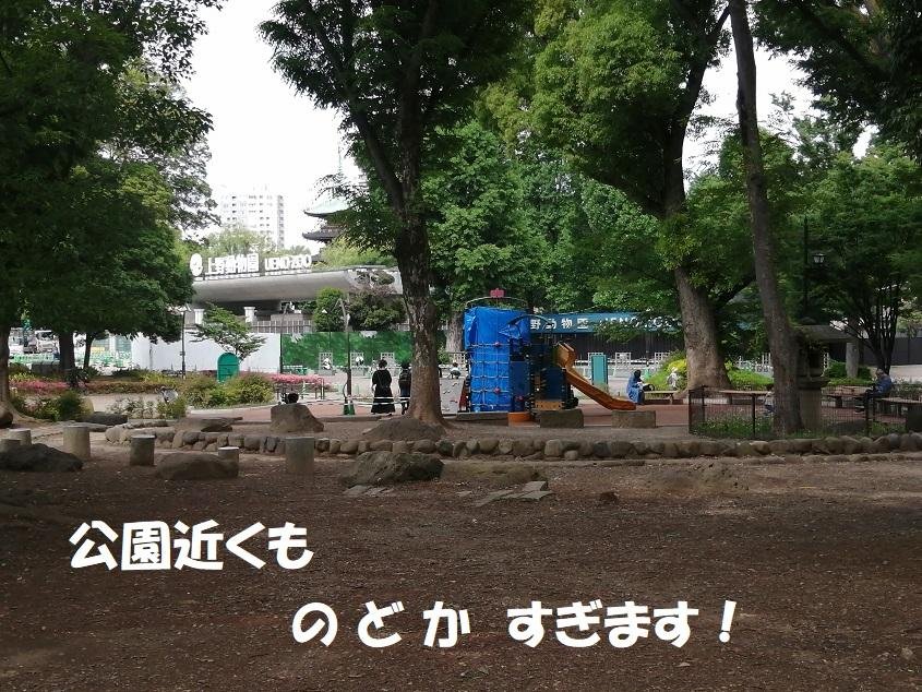 公園