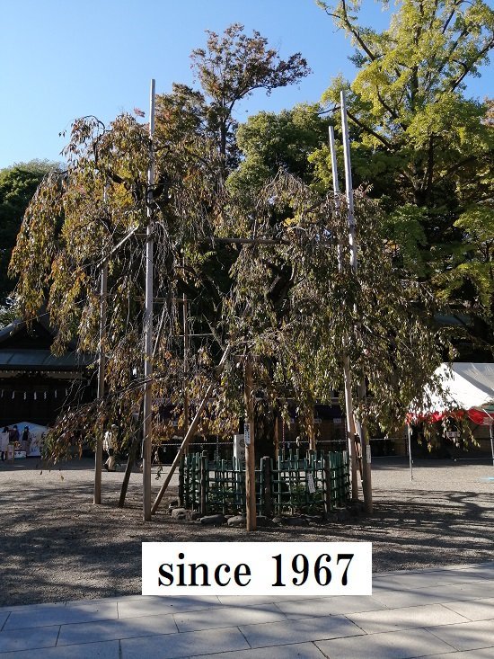 大國魂神社10