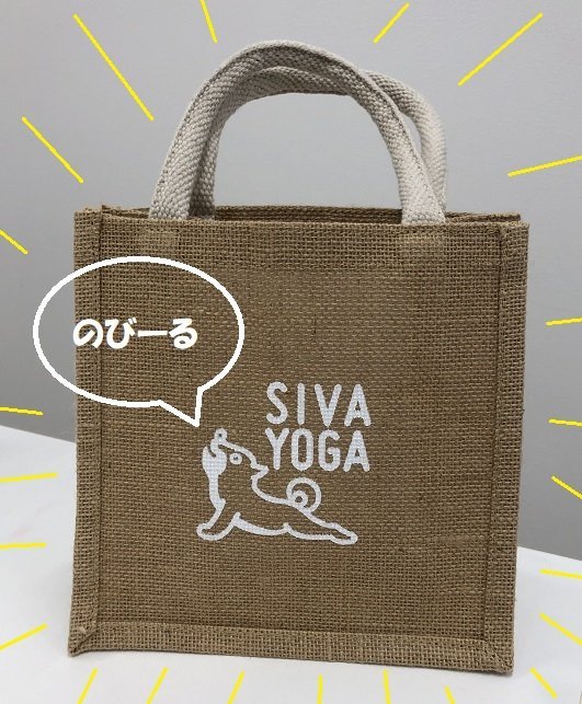 SIVAYOGA登戸