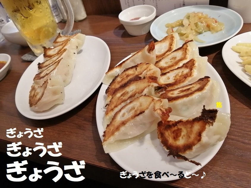 ヤマタニ餃子店14