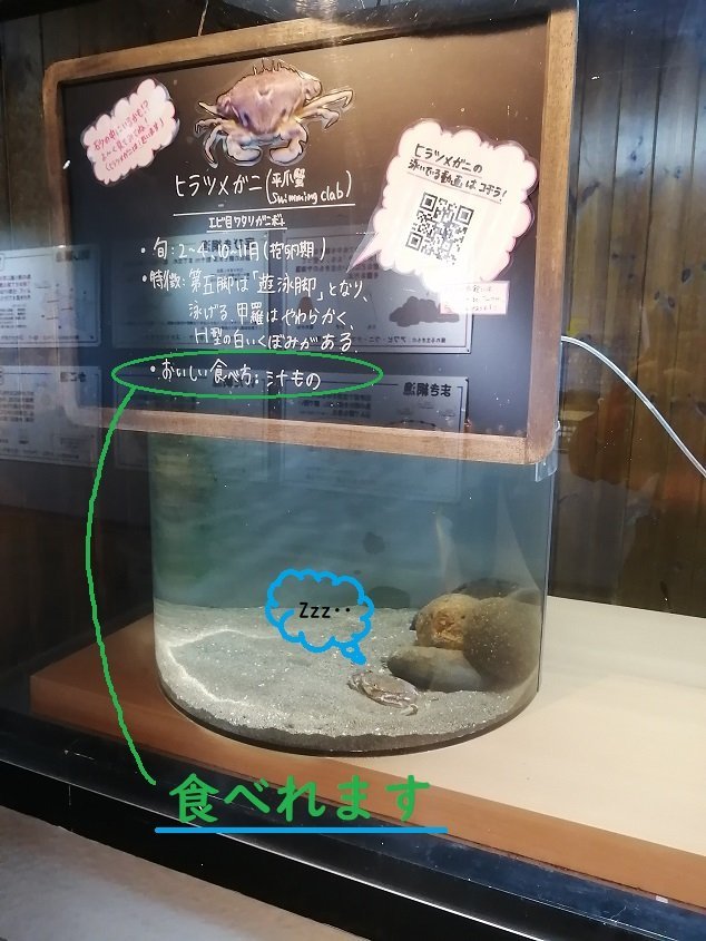 おたる水族館8