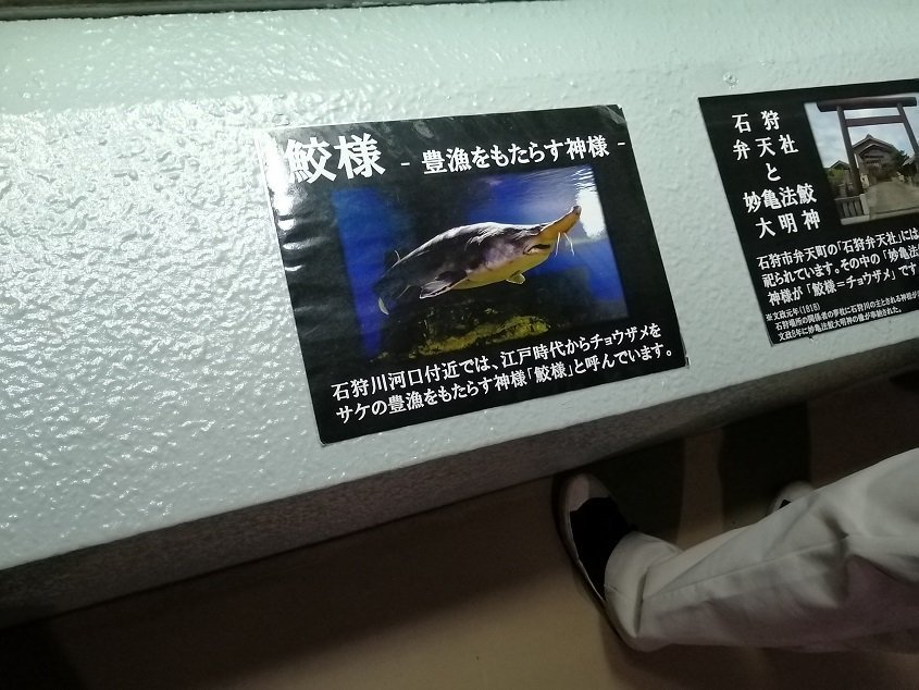 おたる水族館20