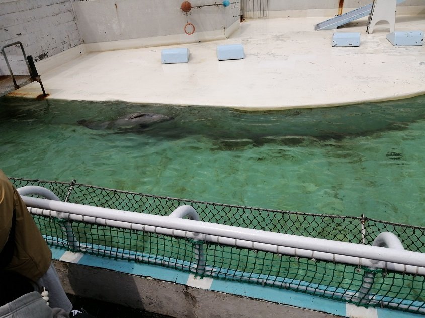 おたる水族館27