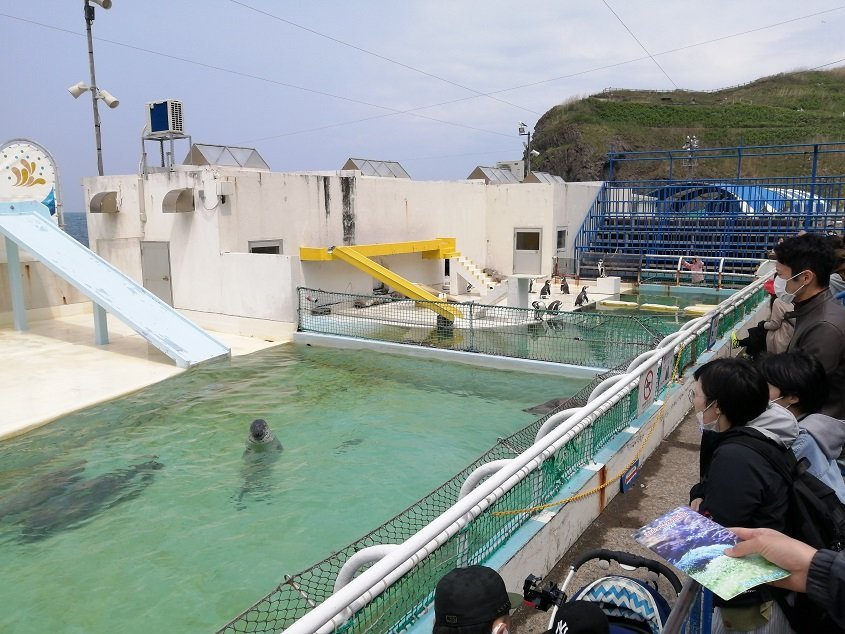 おたる水族館28